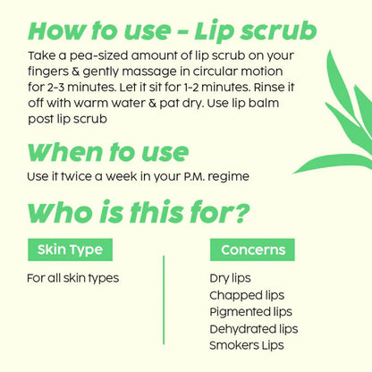 PLIX The Plant Fix Pomegranate Plump Lips, Puddin Mask & Scrub With Peeling Potion - combo