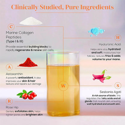 Wellbeing Nutrition Glow Korean Marine & Beauty Collagen Combo: Tropical Bliss & Mango Peach Flavor