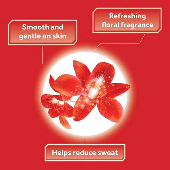 Ponds Starlight Perfumed Talc - 300 gm