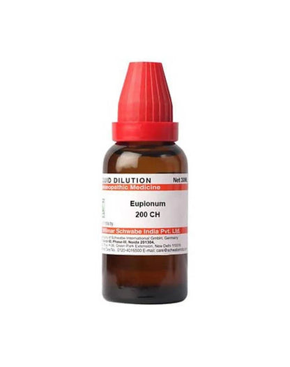 Dr. Willmar Schwabe India Eupionum Dilution -6 CH