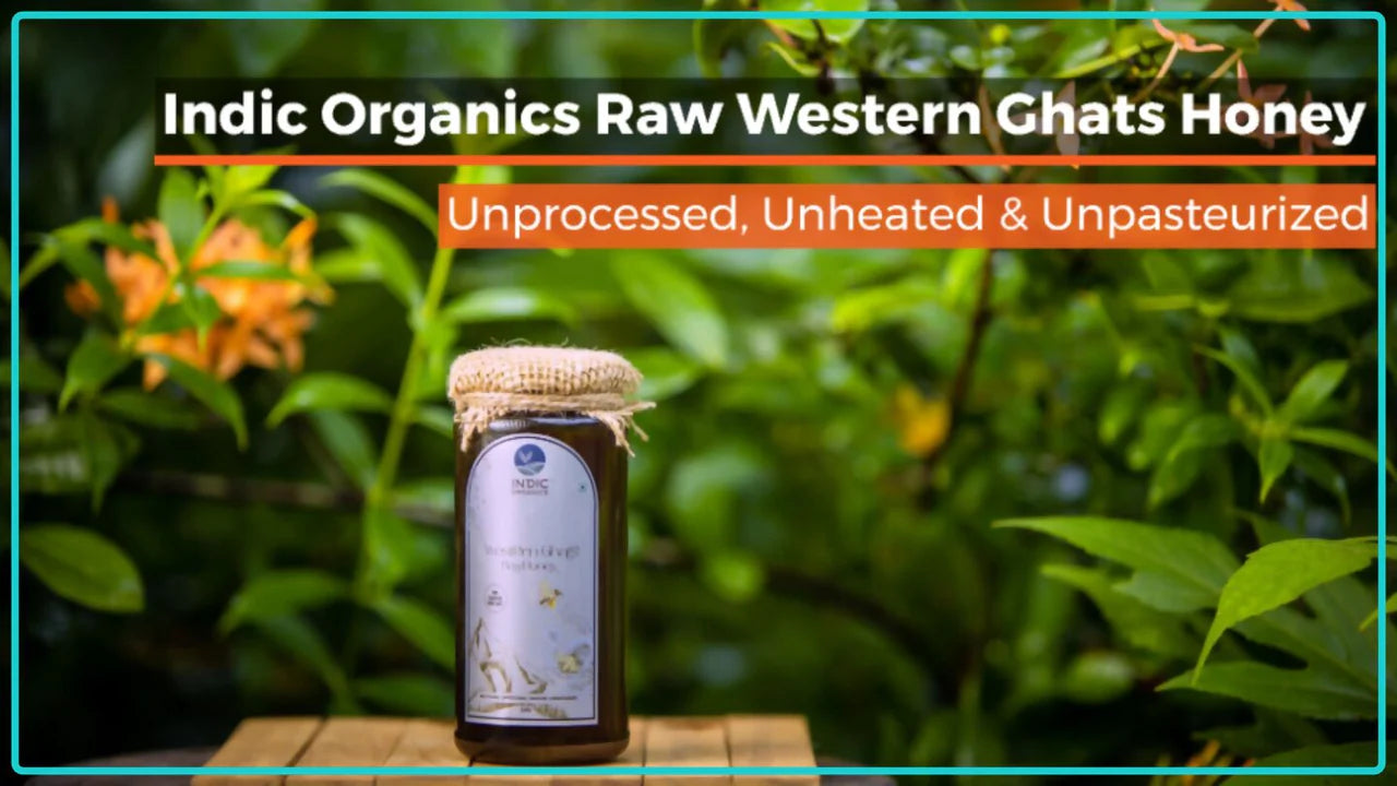 Indic Organics Small Stingless Bee Raw Honey from Western Ghats