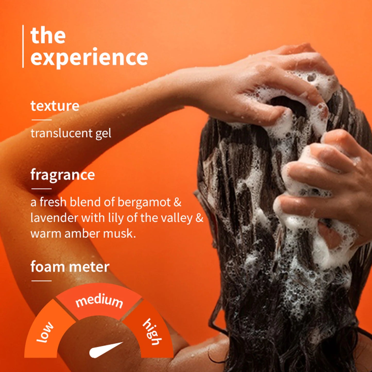 Plum Anti-Dandruff Shampoo with Volcanic Minerals 0.5% Salicylic Acid, 72hr Dandruff & Frizz Control - 250 ml