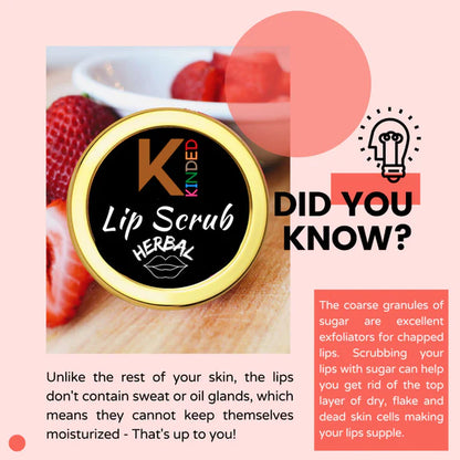 KINDED Lip Sugar Scrub Herbal Exfoliator - Mixed Fruit - 10 gm