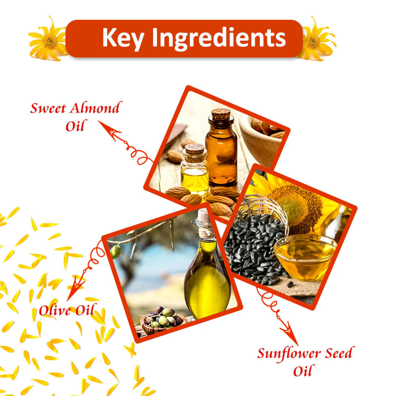 Bjain Homeopathy Omeo Arnica Hair Oil (With Jabrondi)