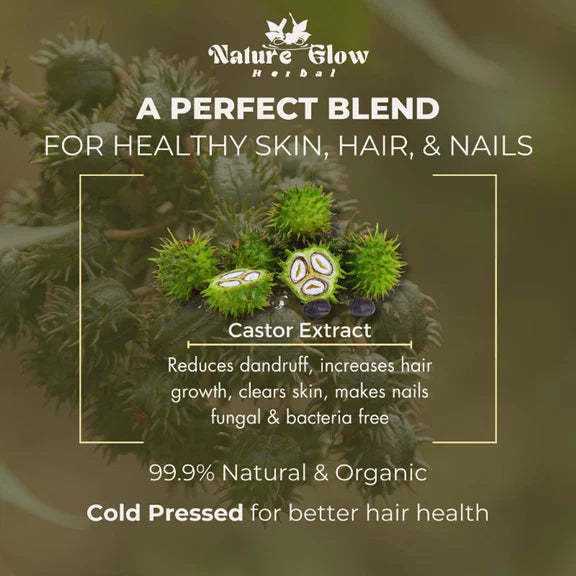 Nature Glow Herbal Castor & Onion With Black Seed Hair Oil Combo - Combo