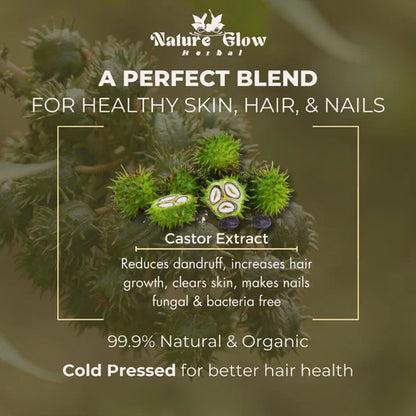 Nature Glow Herbal Castor Oil & 4 In 1 Hair Oil Combo - Combo