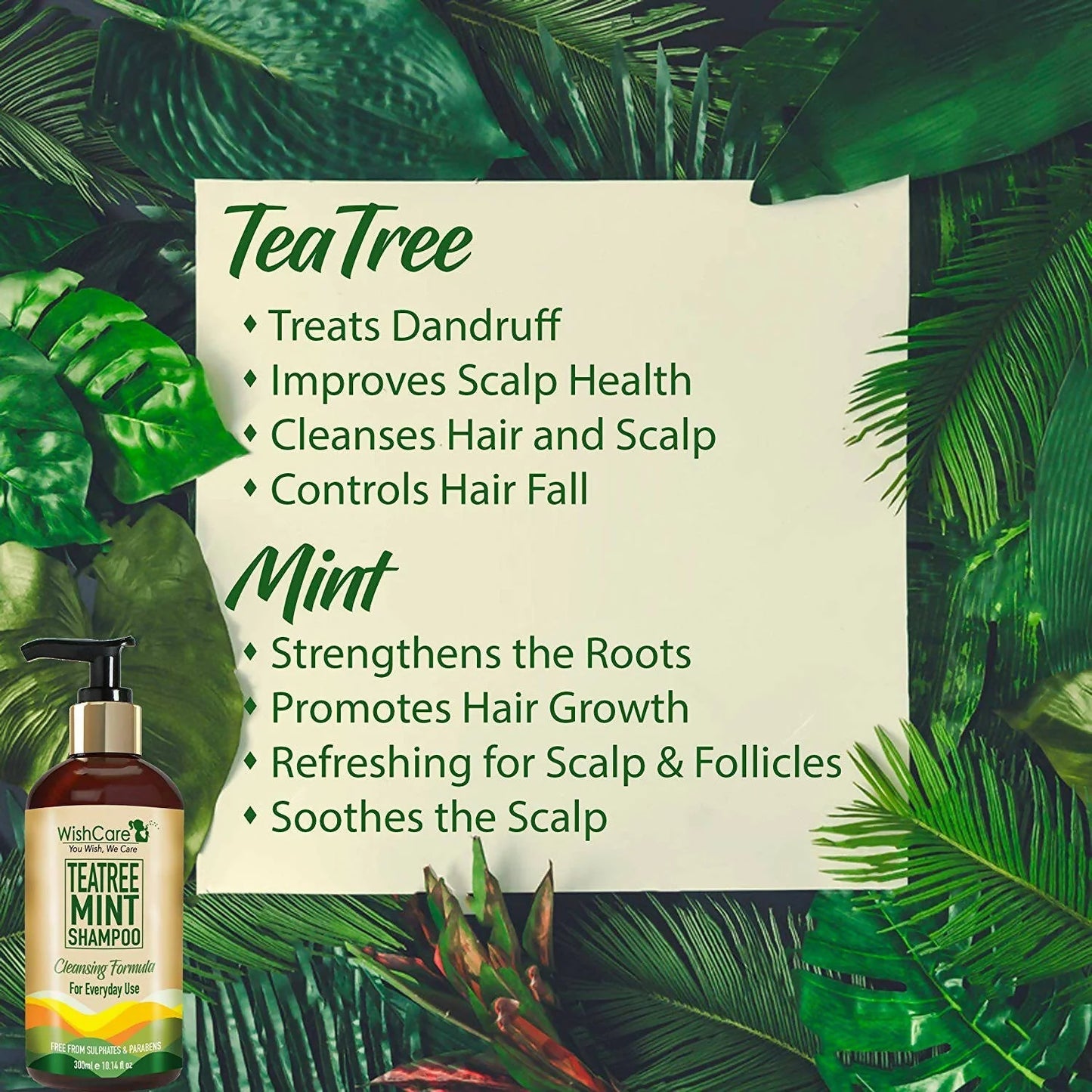 Wishcare Tea Tree Mint Shampoo - 300 ml