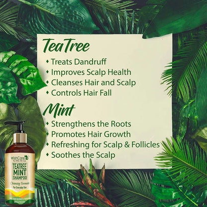 Wishcare Tea Tree Mint Shampoo - 300 ml