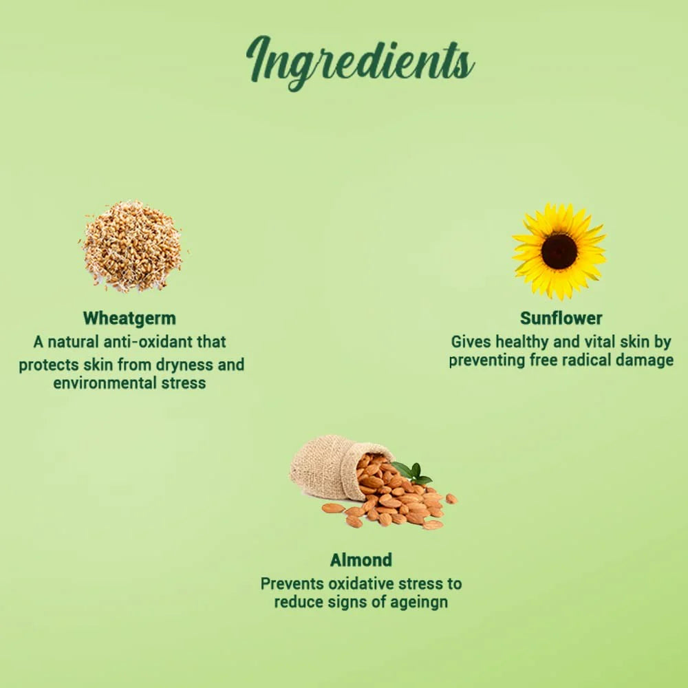 Biotique Advanced Ayurveda WheatGerm Anti-Ageing Night Cream