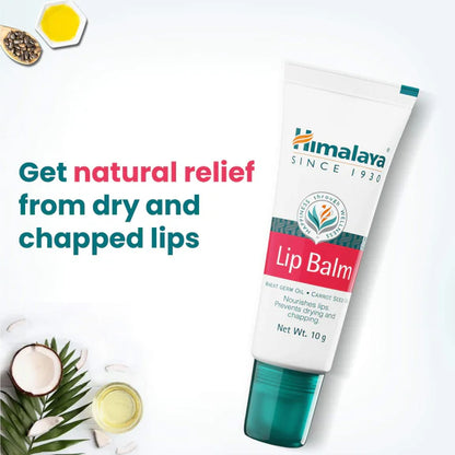 Himalaya Herbals Lip Balm - 5 gm