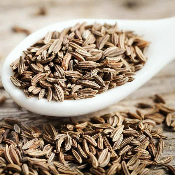 Native Harvest Jeera (cumin) - 100 gm