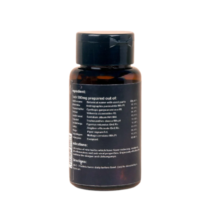 Isha Life Nilavembu Kashayam Tablet
