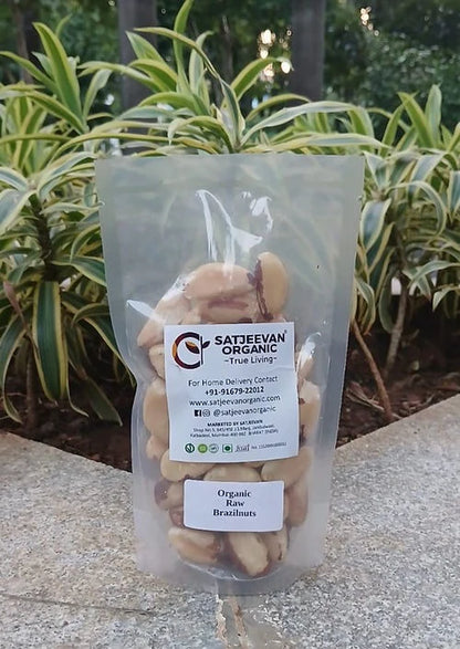 Satjeevan Organic Raw Brazilnuts - 200 gm