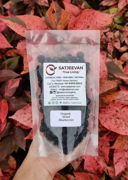 Satjeevan Organic Dried Blueberries - 200 gm