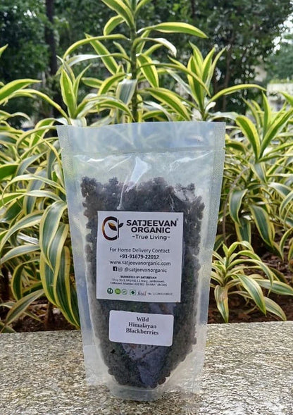 Satjeevan Wild Himalayan Blackberries - 200 gm