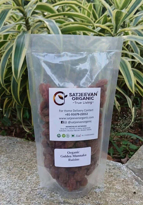 Satjeevan Organic Golden Munakka Raisins - 200 gm