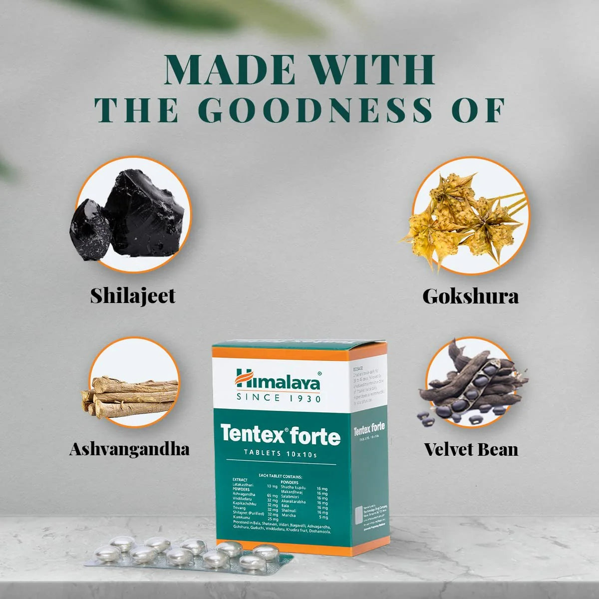 Himalaya Tentex Forte Tablets