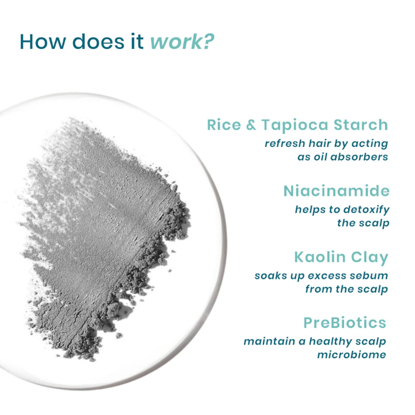 Wishcare Air Powder Dry Shampoo for Oily Hair & Scalp - No White Cast & Aerosol - Volume Boost - 10 gm