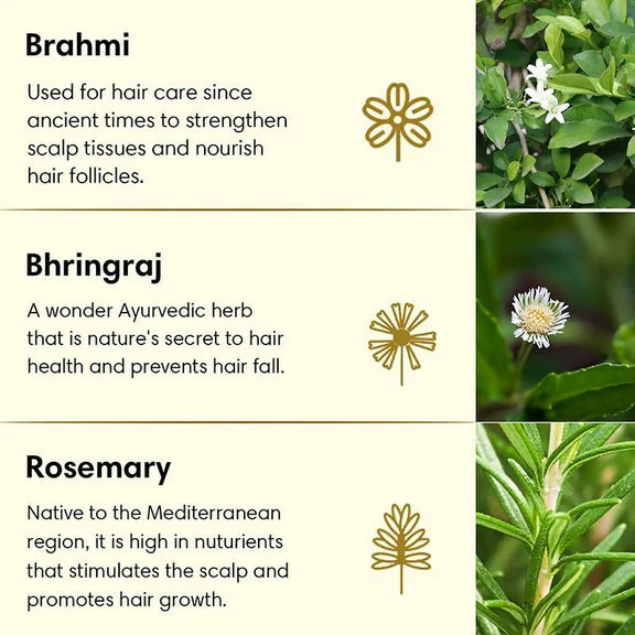 The Earth Collective Anti Hair Fall Hair Oil With Rosemary - 100 ml