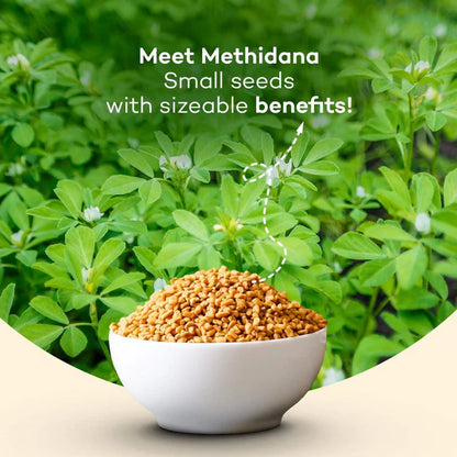 Urban Platter Fenugreek Seeds Whole - 700 gm
