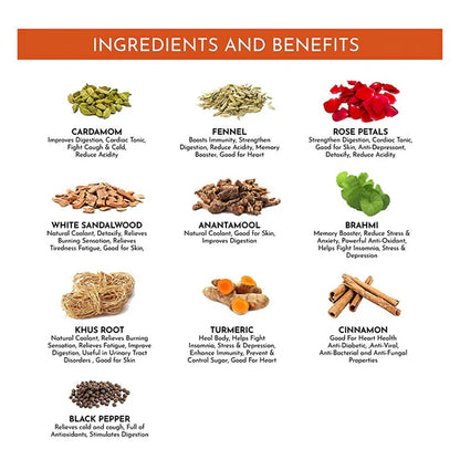 Satv Thandak Herbal Milk Mix - 100 gm