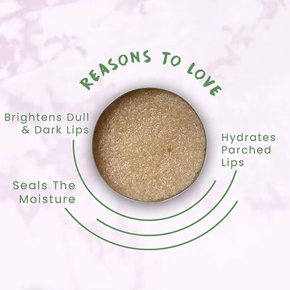 FOY Naturals Cinnamon Lip Scrub - 15 gm
