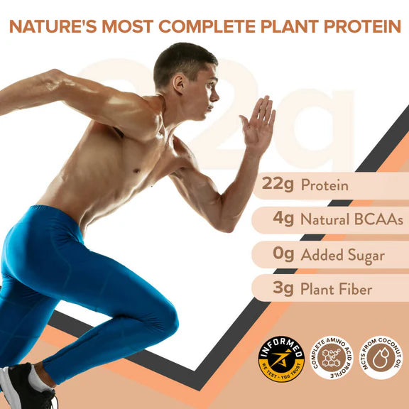 Wellbeing Nutrition Superfood Plant Protein-Dark Chocolate Hazelnut - 500 gm