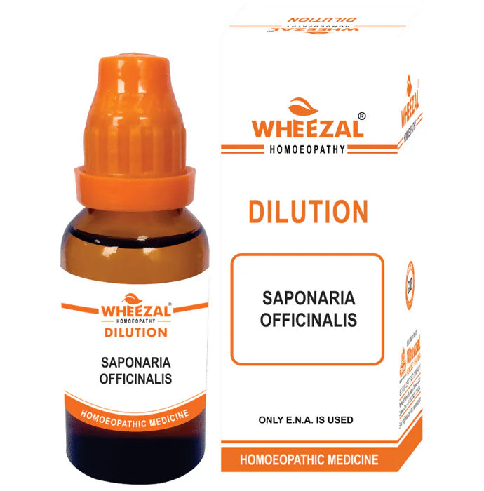 Wheezal Homeopathy Saponaria Officinalis Dilution -30 ml