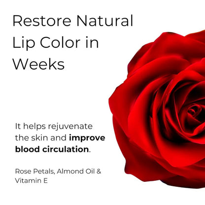 Noor Skincare Rose Lip Scrub - 15 gm