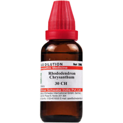 Dr. Willmar Schwabe India Rhododendron Chrysanthum Dilution -6 CH