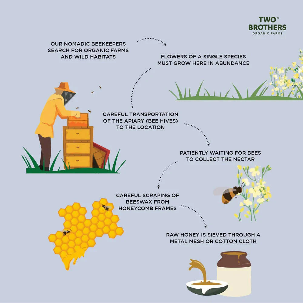 Two Brothers Organic Farms Raw Mustard Flower Honey-Mono Floral