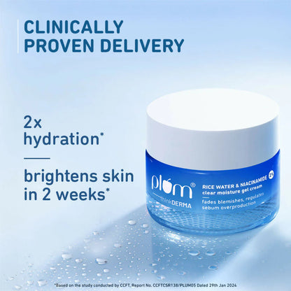 Plum Day & Night Moisturizing Combo For Hydrated & Nourished Skin - combo