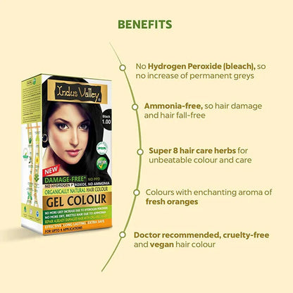 Indus Valley Damage-Free Gel Hair Color - (200 ml + 20 gm) - Black