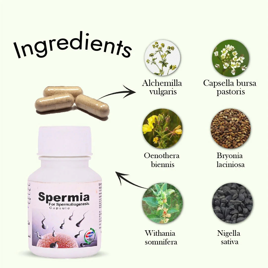Hashmi Spermia Capsules – May Support Energy Levels, Vitality, and Physical Strength in Men - 20 caps