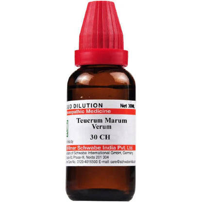 Dr. Willmar Schwabe India Teucrium Marum Verum Dilution -6 CH -