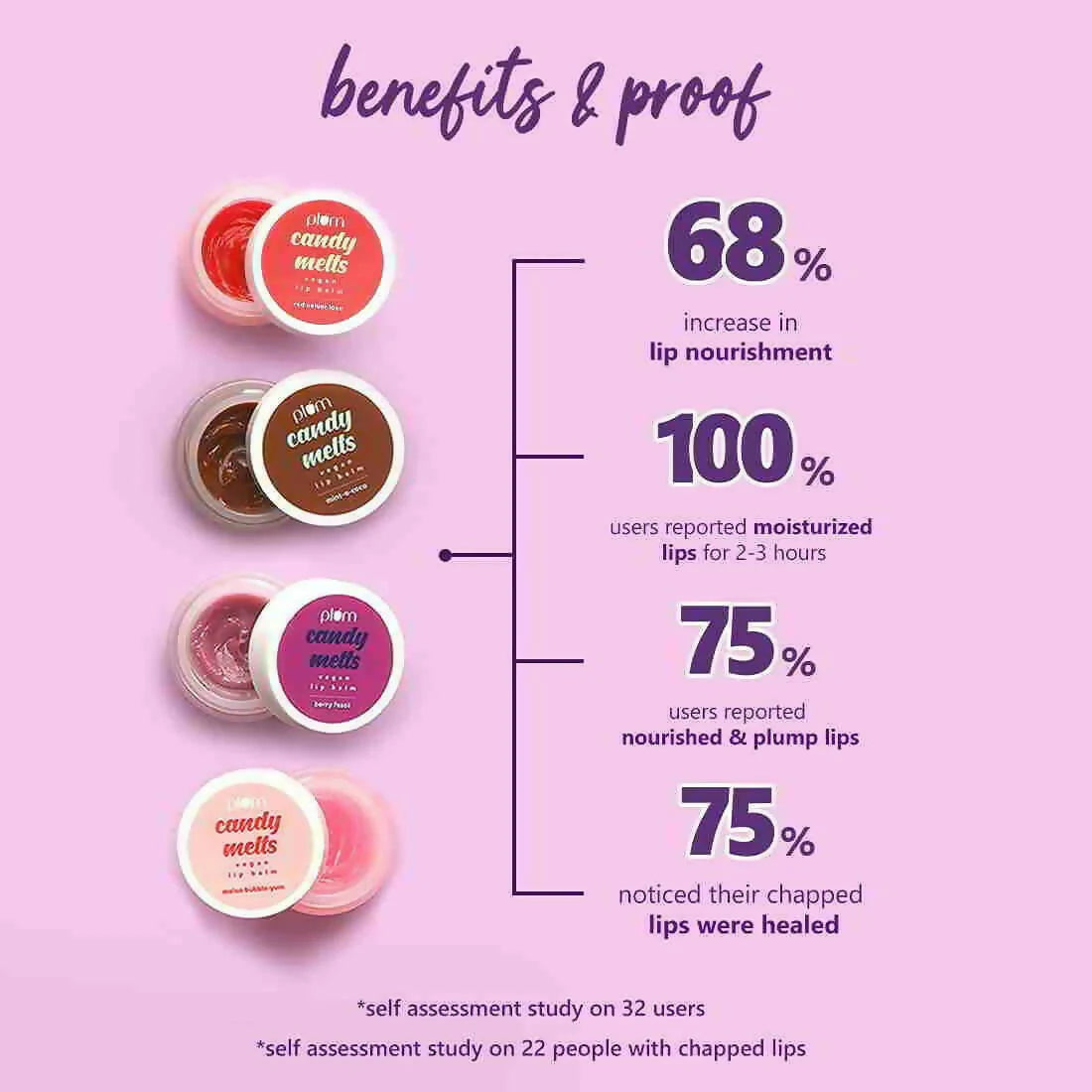 Plum Candy Melts Vegan Lip Balm - Mint-o-Coco - 12 gm