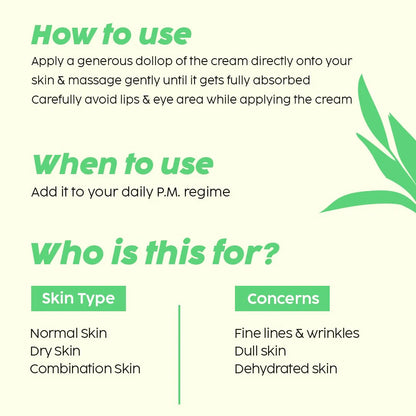 PLIX The Plant Fix Pomegranate 1% Retinol & 1% Bakuchi Oil Anti Ageing Night Cream - 50 gm
