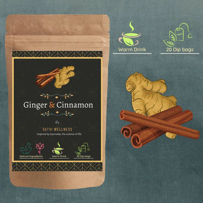 Satvi Wellness Ginger Cinnamon Tea - 20 tea bags