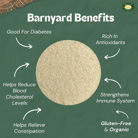 Millet Amma Barnyard Millet Rava (Suji) - 500 gm