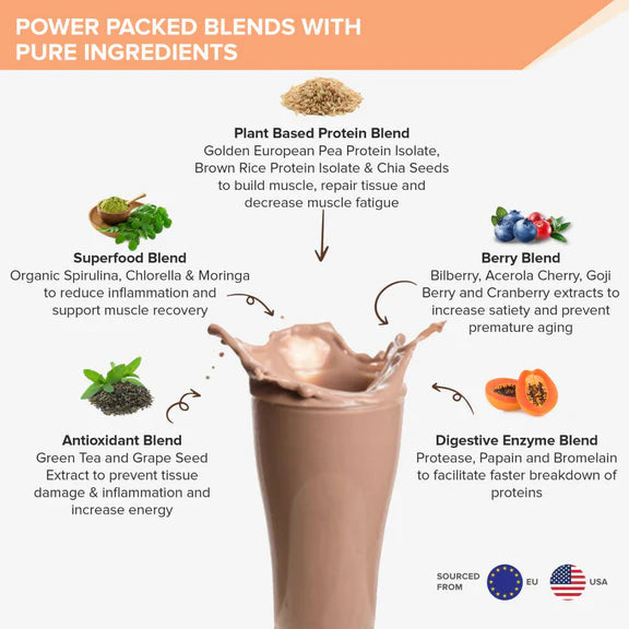 Wellbeing Nutrition Superfood Plant Protein-Dark Chocolate Hazelnut - 500 gm