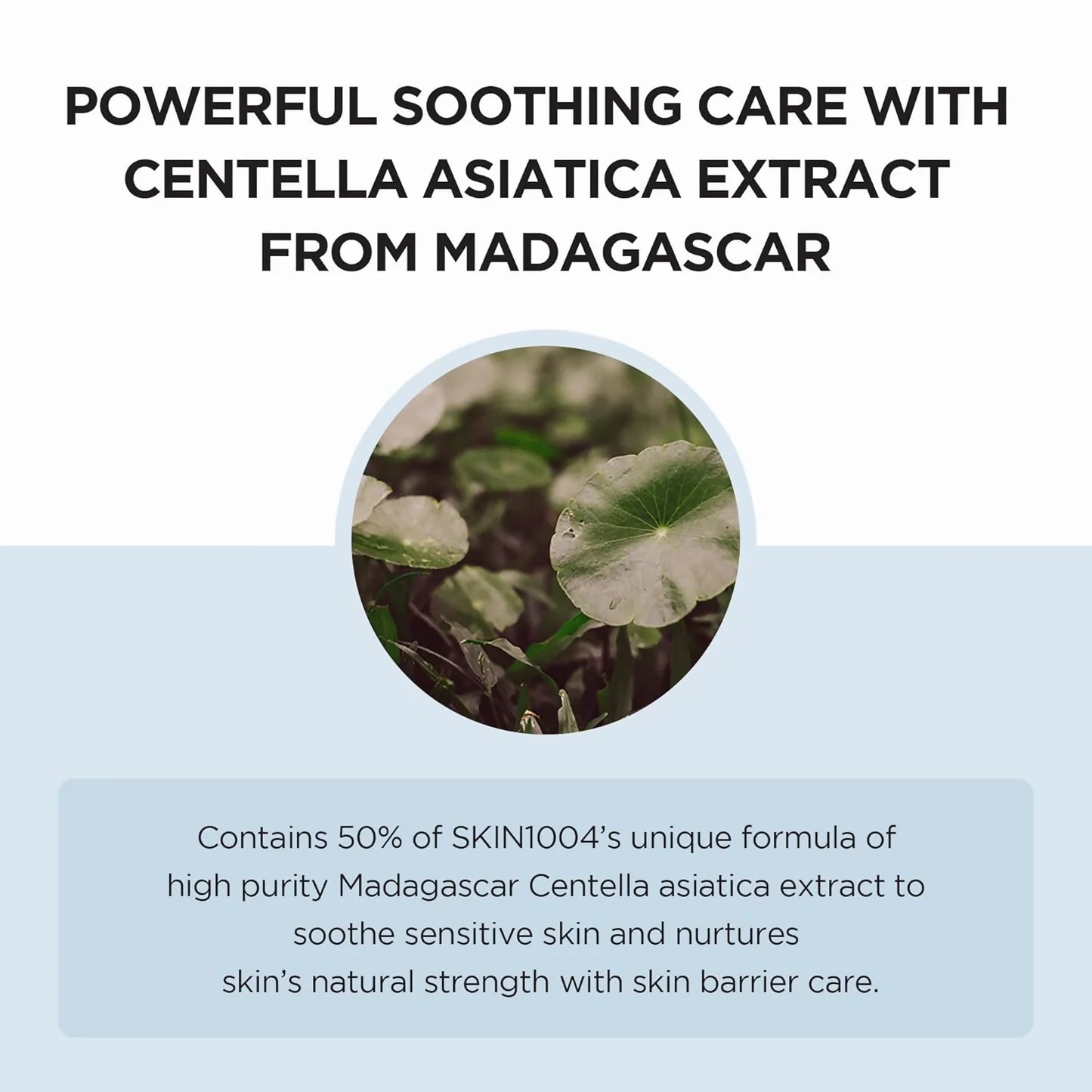 SKIN1004 Madagascar Centella Hyalu-Cica Moisture Cream - 75 ml