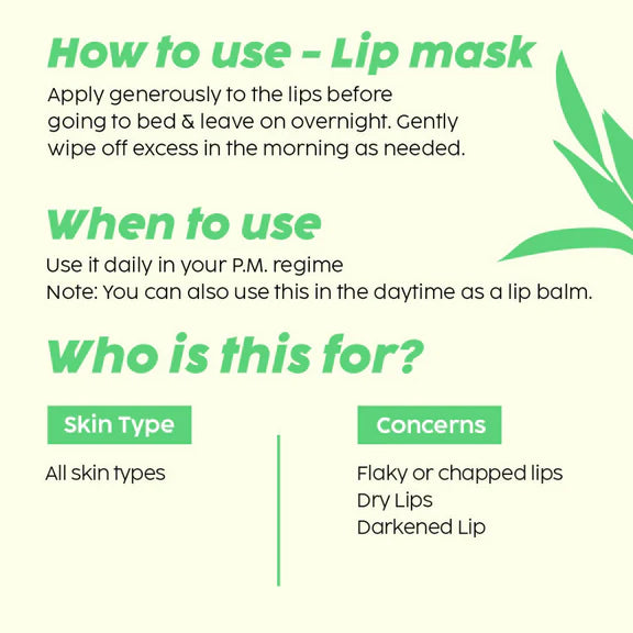 PLIX The Plant Fix Pomegranate Plump Lips, Puddin Mask & Scrub With Peeling Potion - combo
