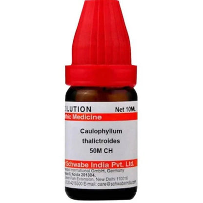 Dr. Willmar Schwabe India Caulophyllum Thalictroides Dilution -6 CH