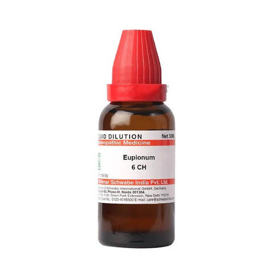 Dr. Willmar Schwabe India Eupionum Dilution -6 CH