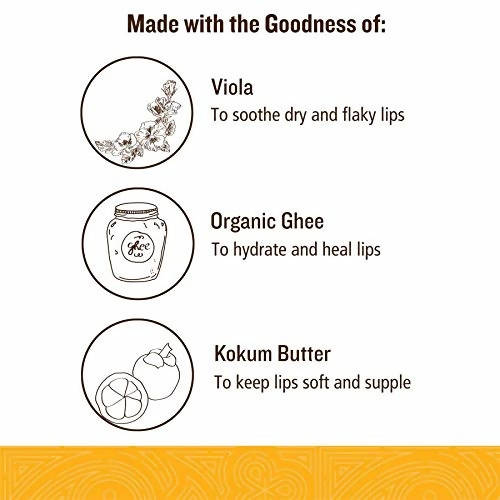 Soultree Viola & Kokum Butter Lip Balm - 3.5 gm