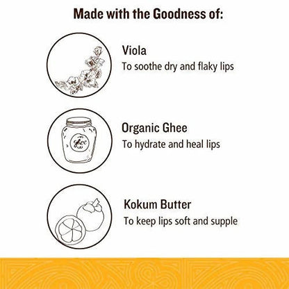 Soultree Viola & Kokum Butter Lip Balm - 3.5 gm