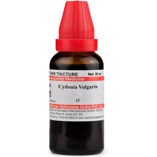 Dr. Willmar Schwabe India Cydonia Vulgaris Mother Tincture Q -