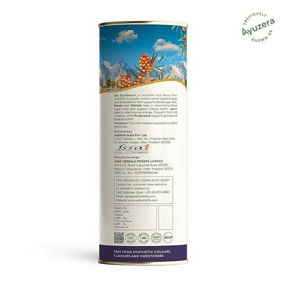 Wellwith DiaboWin (Diawell) Karela & Jamun Juice with Seabuckthorn - 300 ml