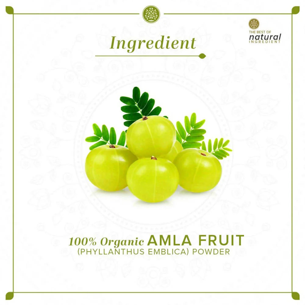 Khadi Natural Organic Amla Fruit Powder - 100 gm