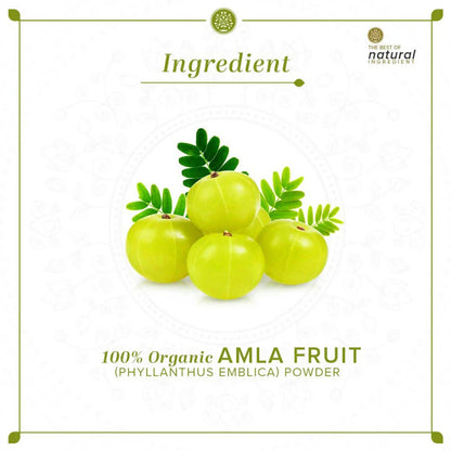 Khadi Natural Organic Amla Fruit Powder - 100 gm